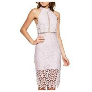 Bardot Orchid Gemma Halter Lace Sheath Dress